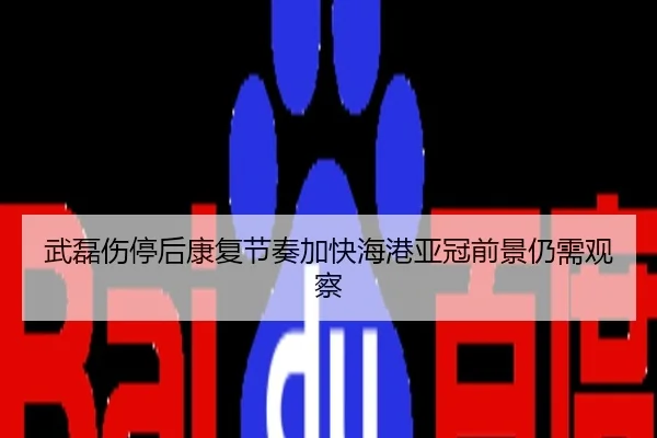 武磊伤停后康复节奏加快海港亚冠前景仍需观察